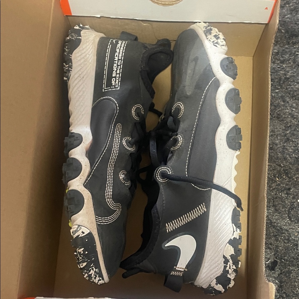 Nike flex turf shoes 
6 y